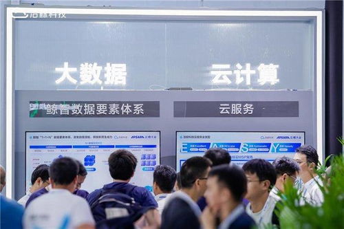 浩鯨科技亮相云棲大會，重磅發(fā)布鯨智大模型產(chǎn)品技術能力體系